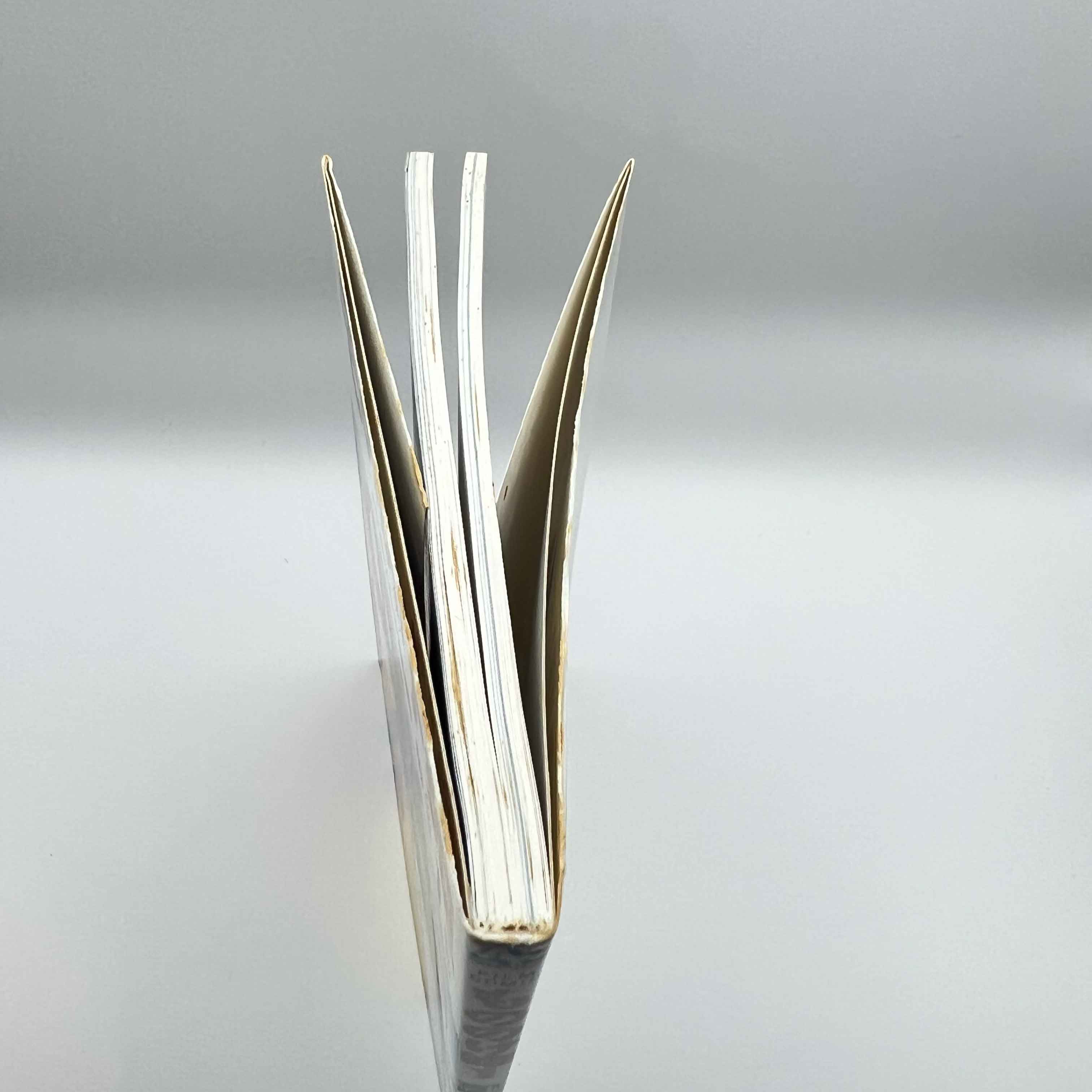 Princess Mononoke (Ghibli Anime Comics) - Volume 01