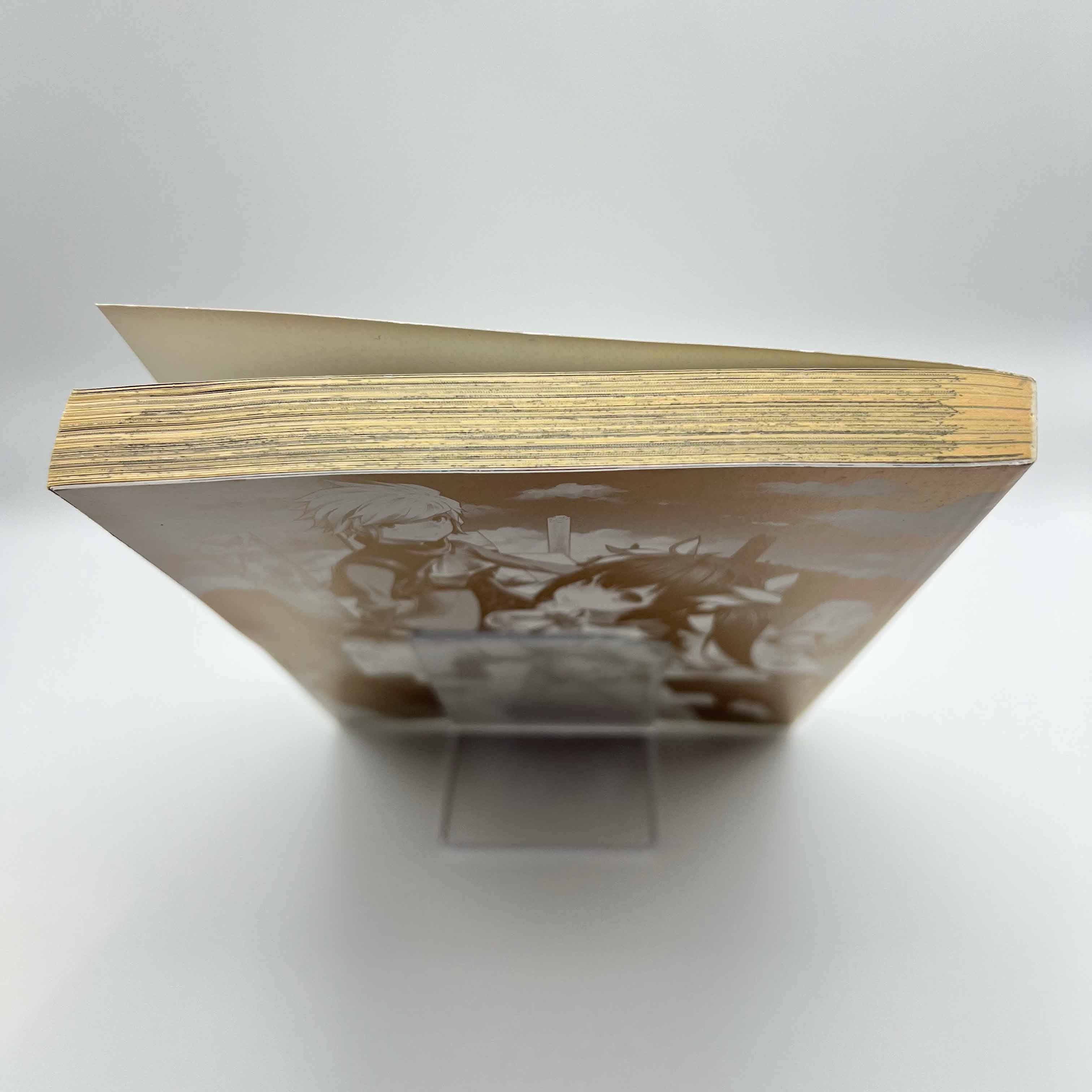 Is It Wrong to Try to Pick Up Girls in a Dungeon ? - Volume 01