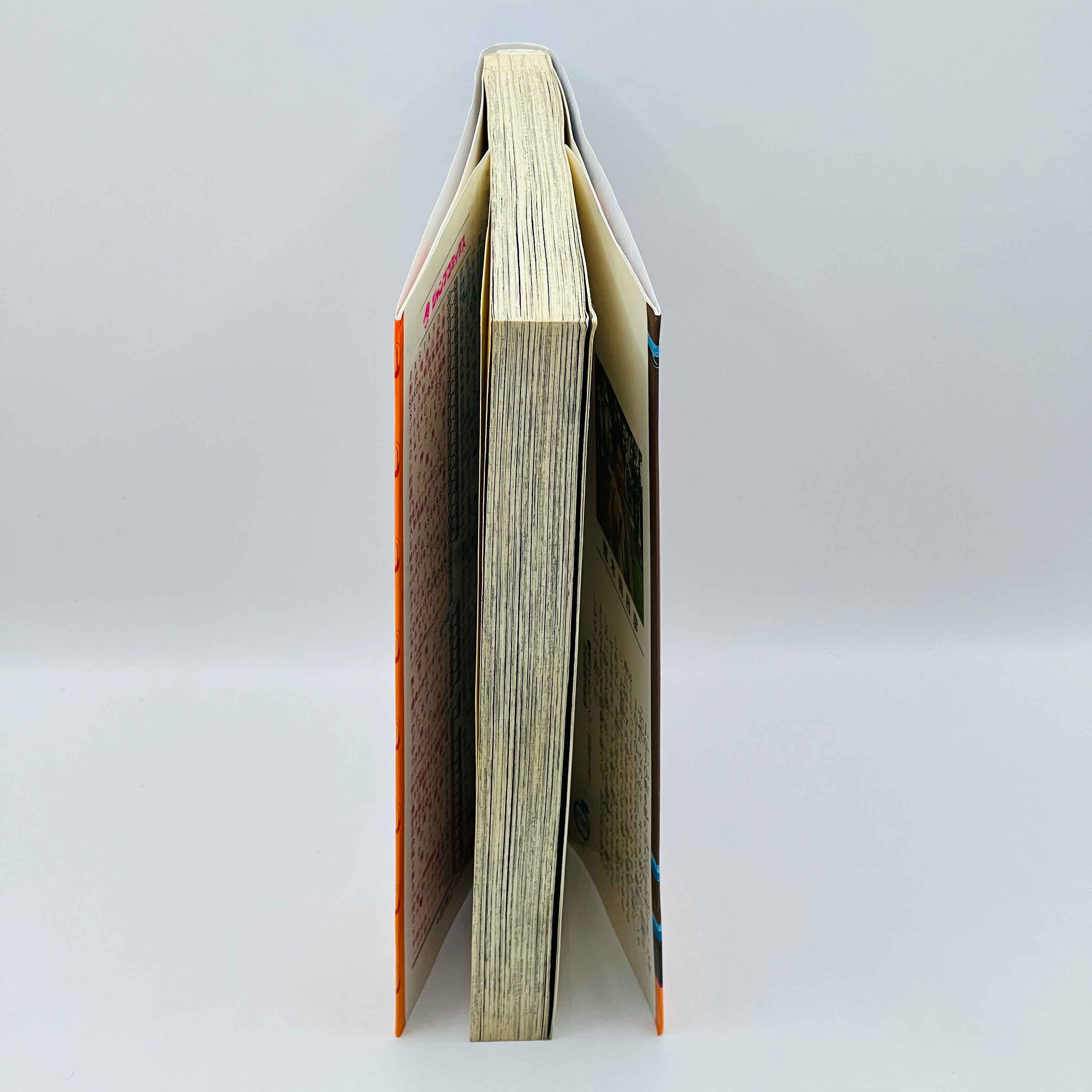 Jojo's Bizarre Adventure Stone Ocean - Volume 01