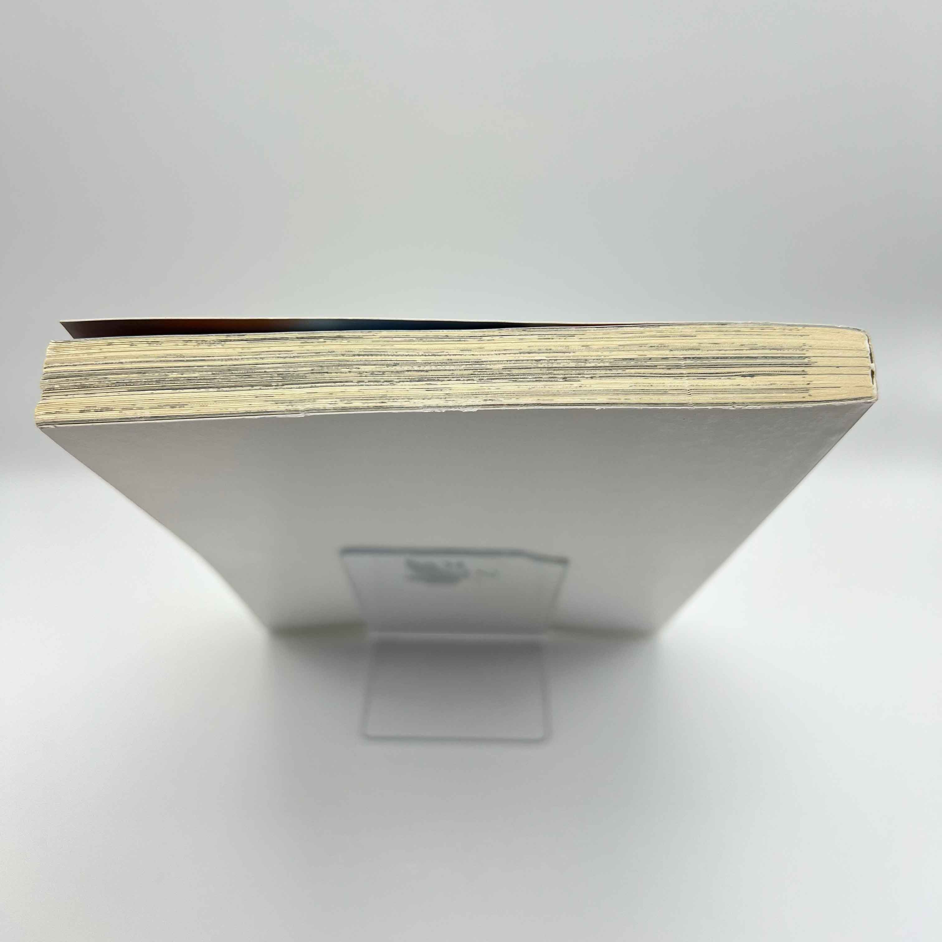 Neon Genesis Evangelion - Volume 09 (Special Version)