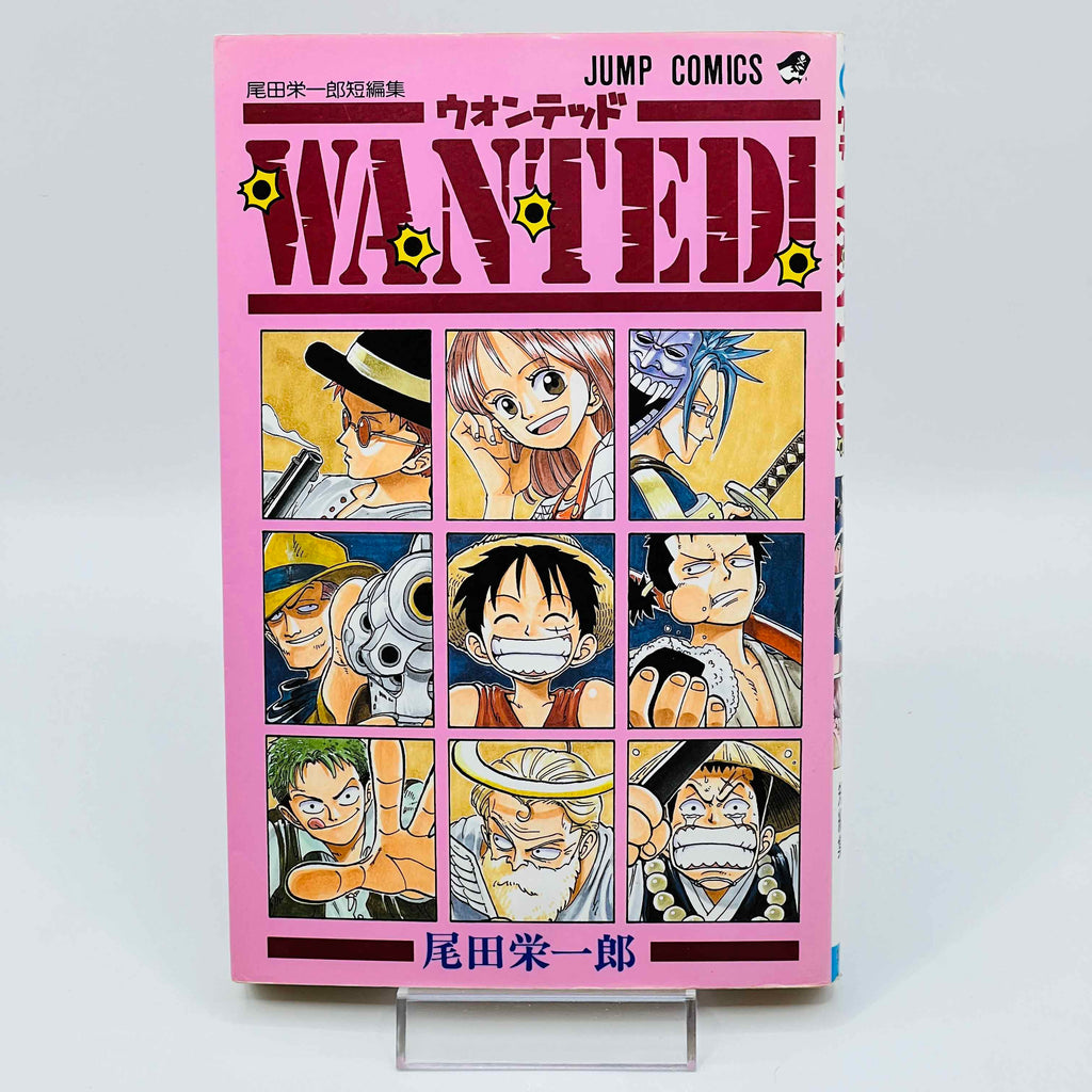 One Piece Wanted