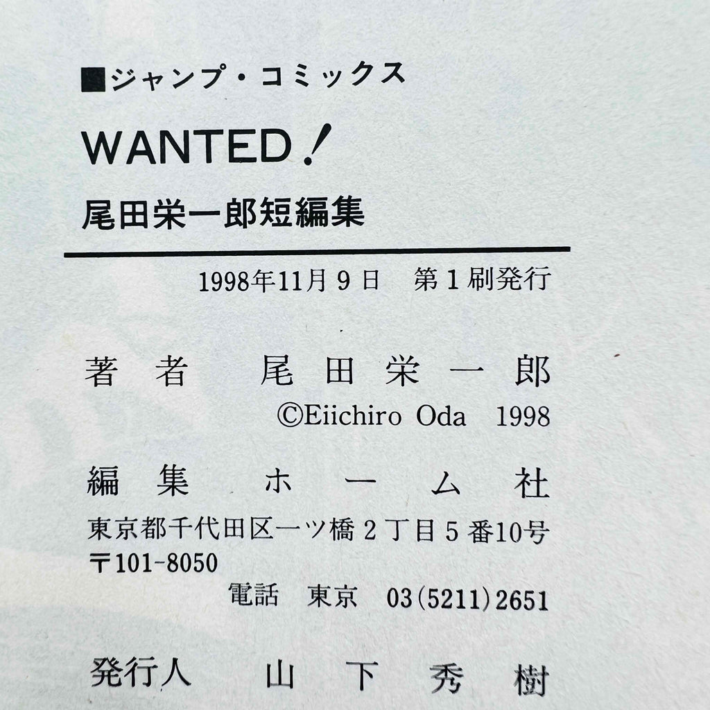 One Piece Wanted