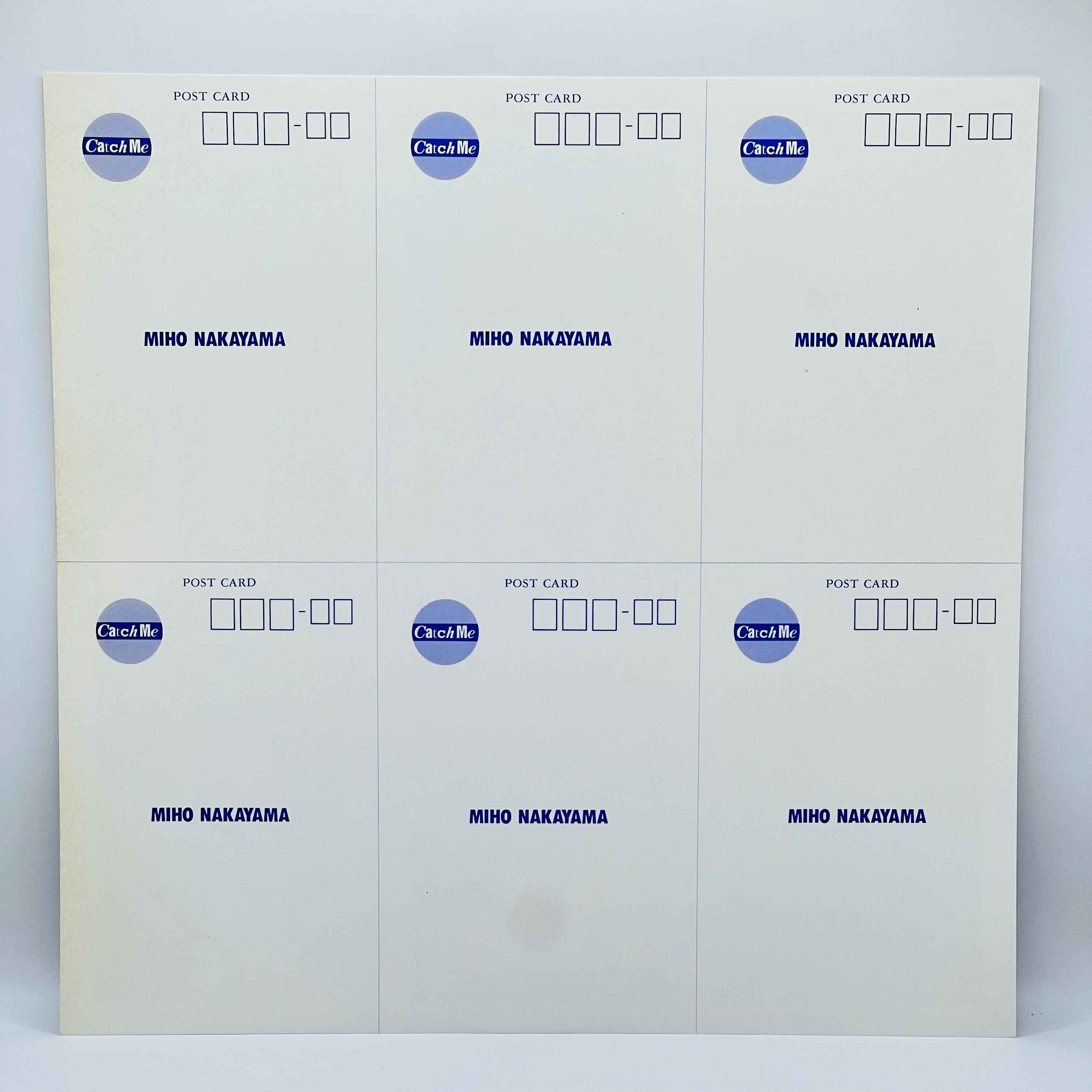 Miho Nakayama: Catch Me (City Pop) /w Obi