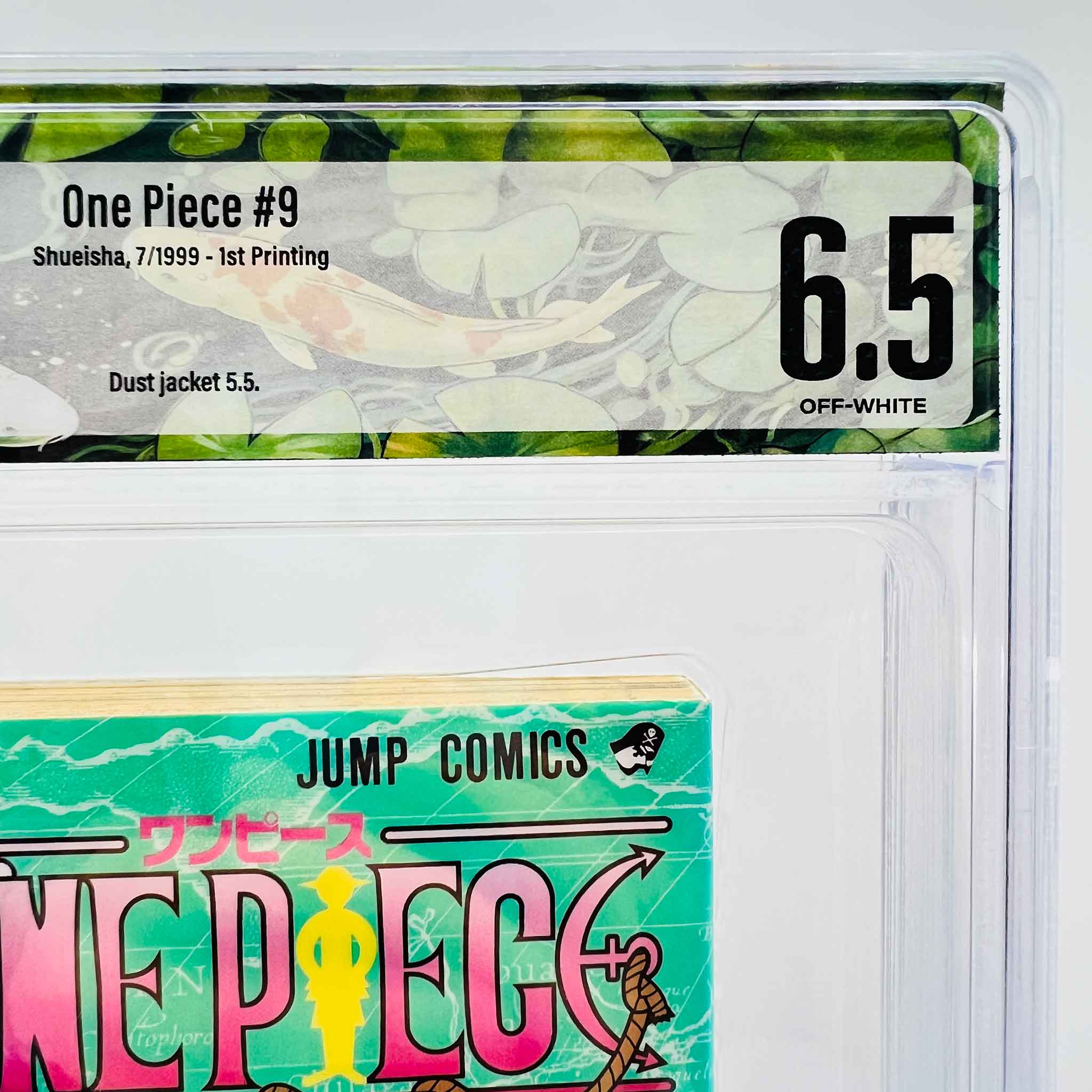 BGS 6.5 - One Piece Volume 09