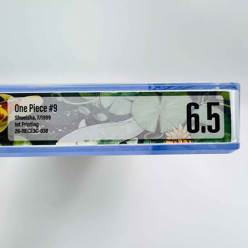 BGS 6.5 - One Piece Volume 09