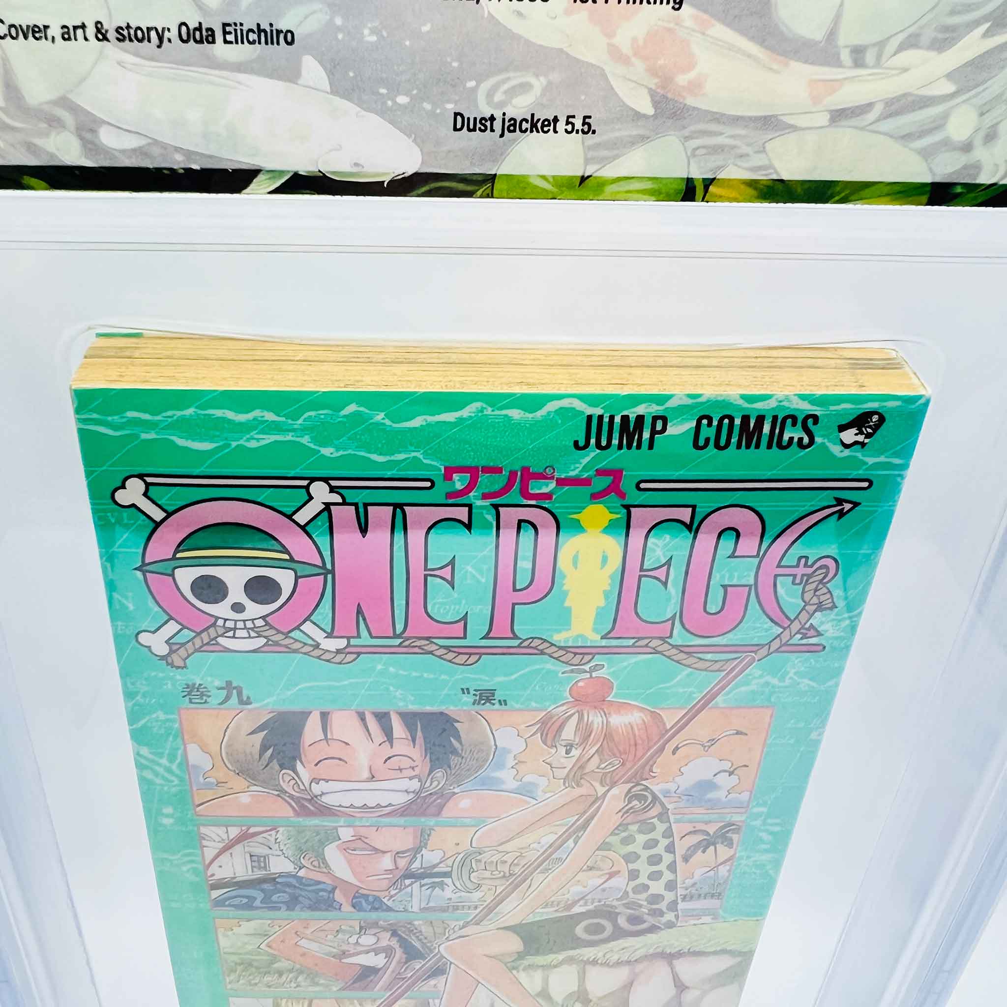 BGS 6.5 - One Piece Volume 09