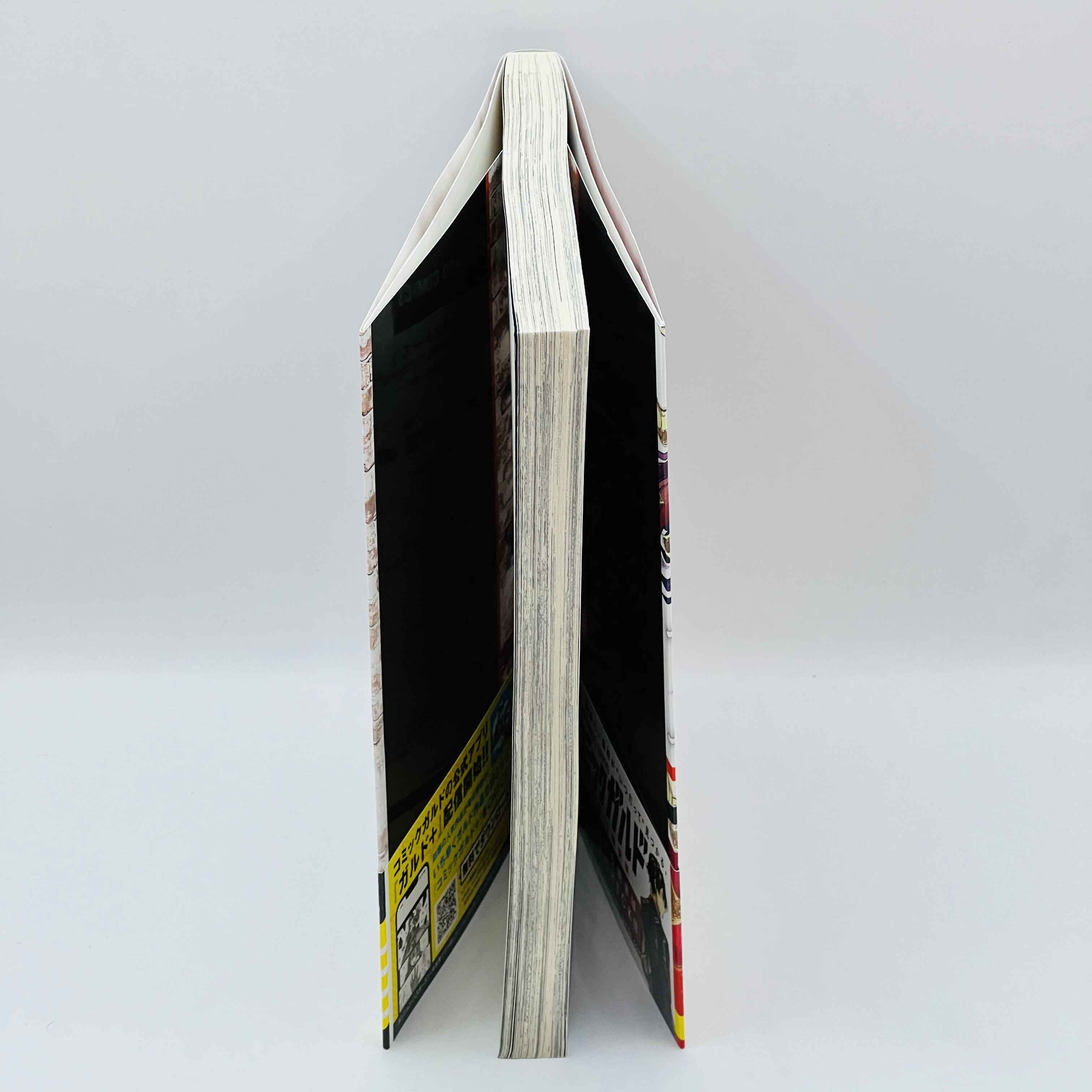 Dungeon Busters - Volume 01 /w Obi