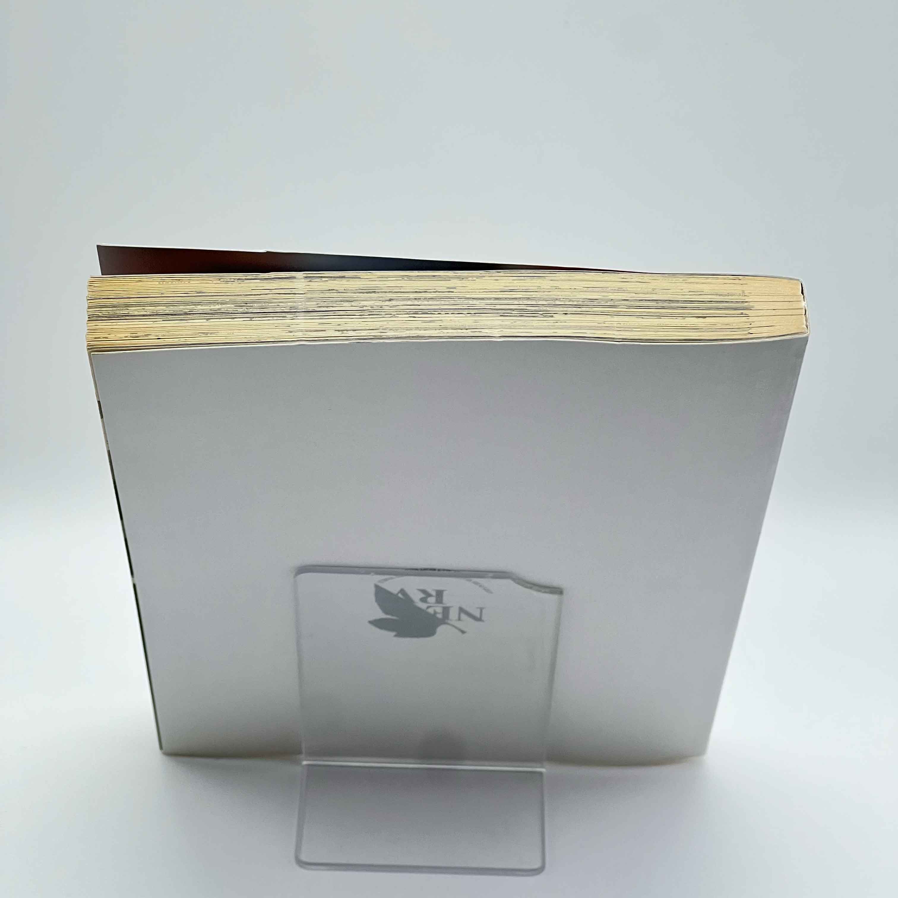 Neon Genesis Evangelion (Special Version) - Volume 09