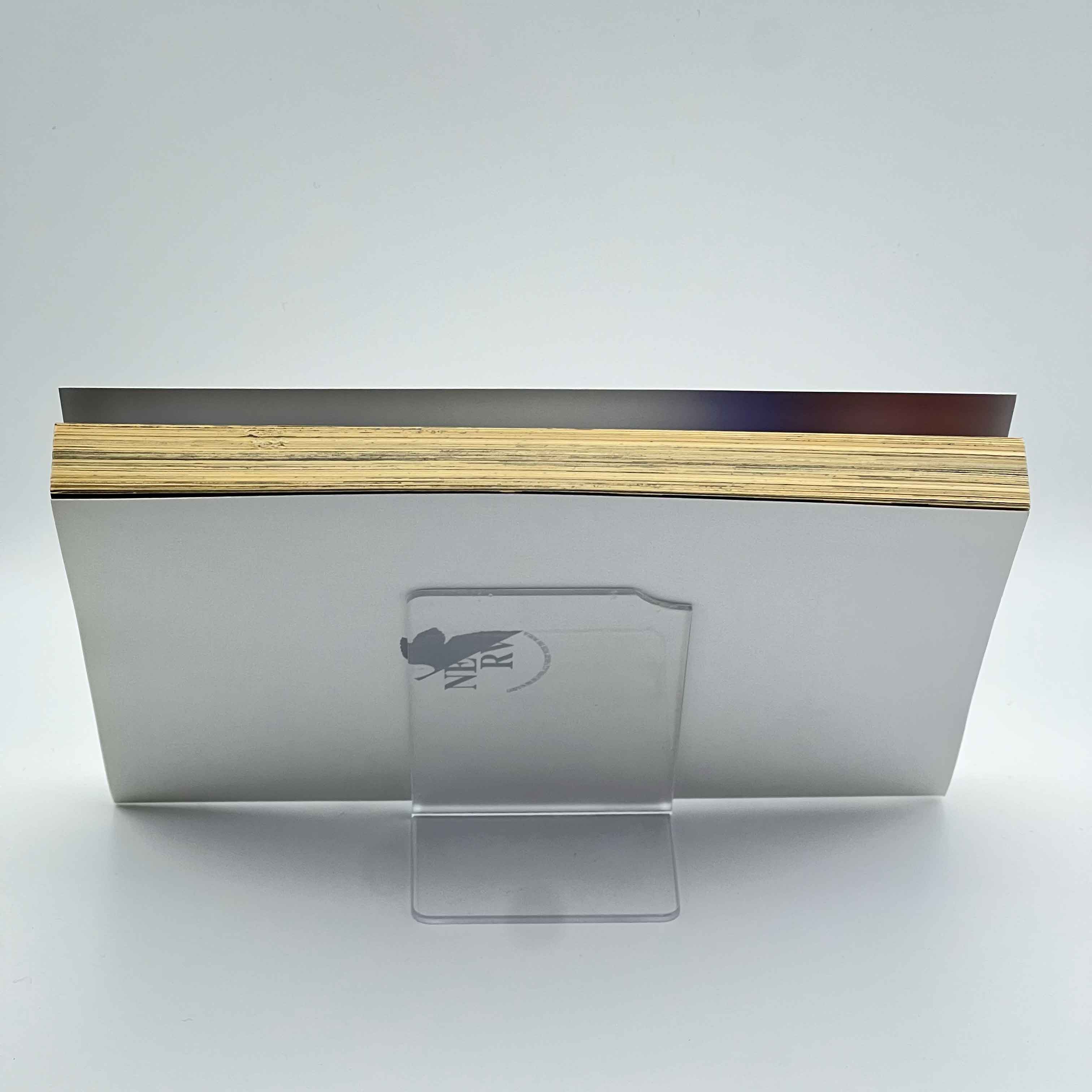 Neon Genesis Evangelion (Special Version) - Volume 09