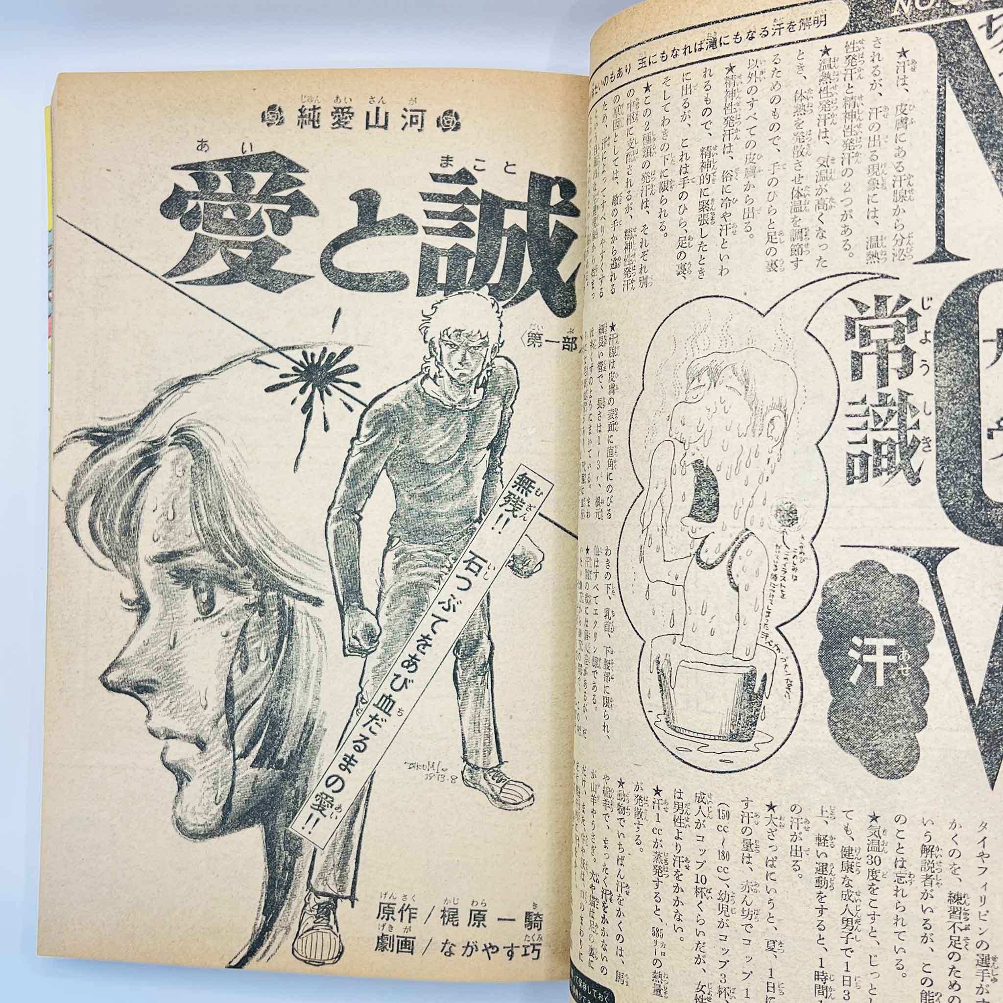 Weekly Shonen Magazine - 1973 No. 38 (Crazy Sarutobi 1st Issue)