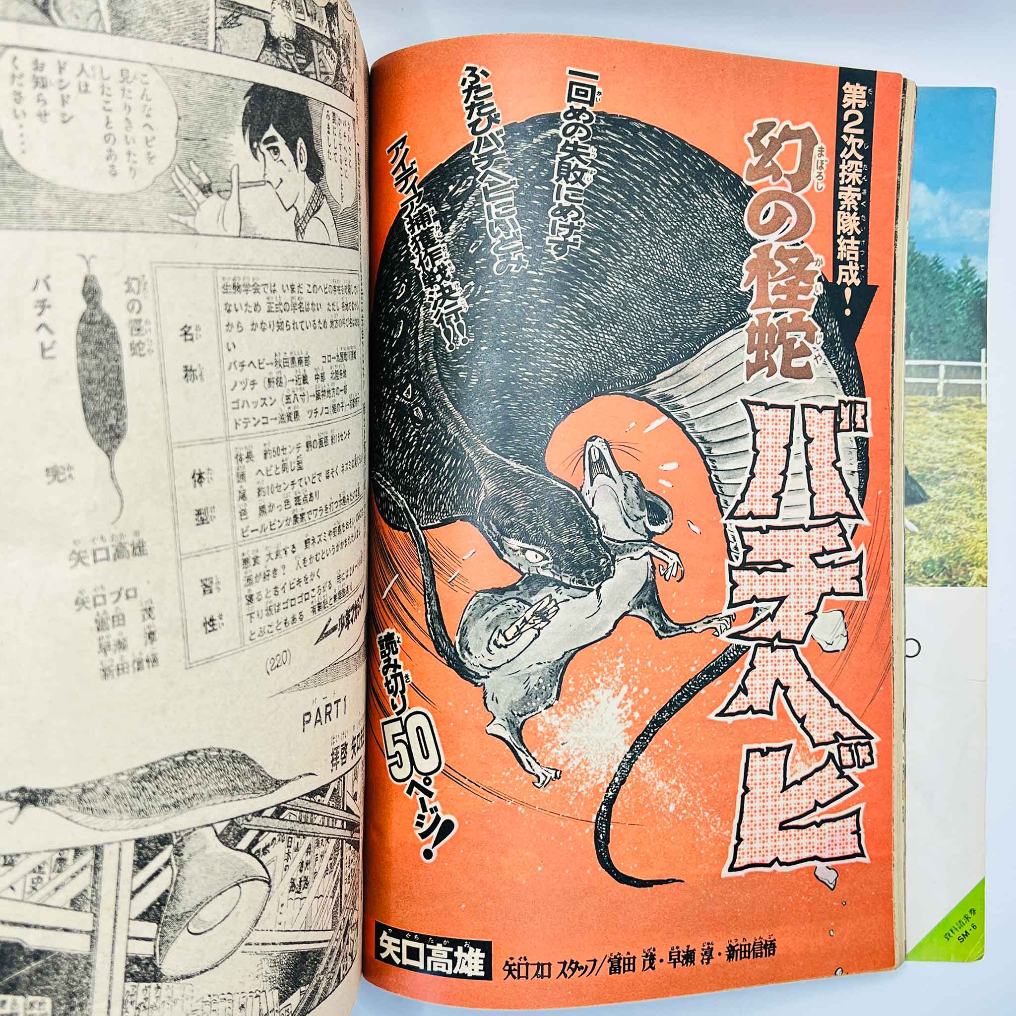 Weekly Shonen Magazine - 1973 No. 28