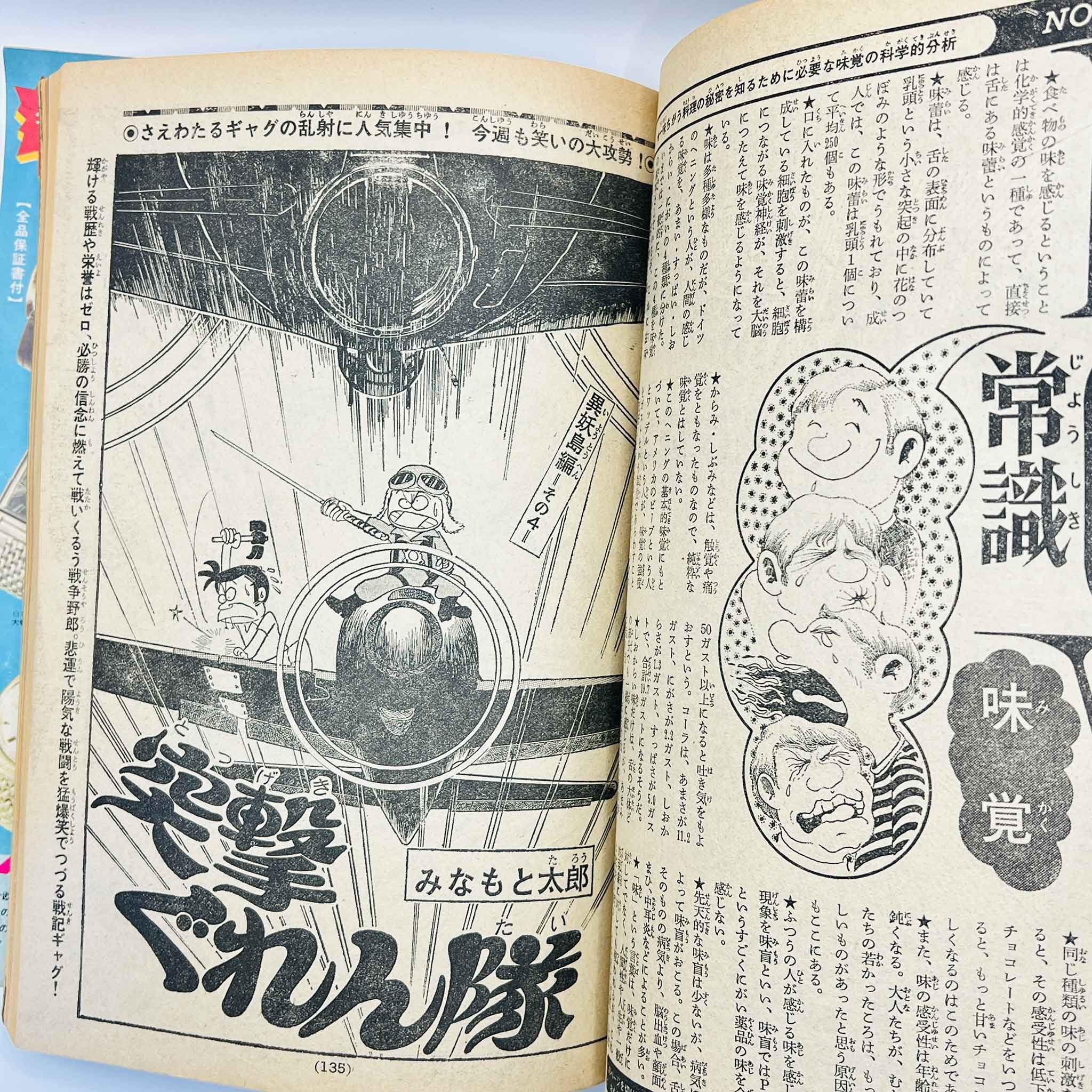 Weekly Shonen Magazine - 1973 No. 28