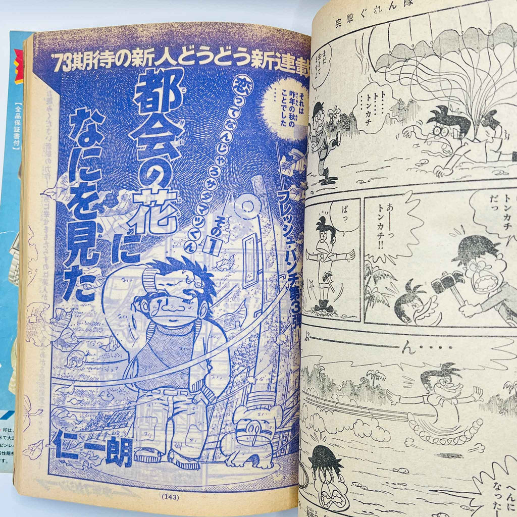 Weekly Shonen Magazine - 1973 No. 28