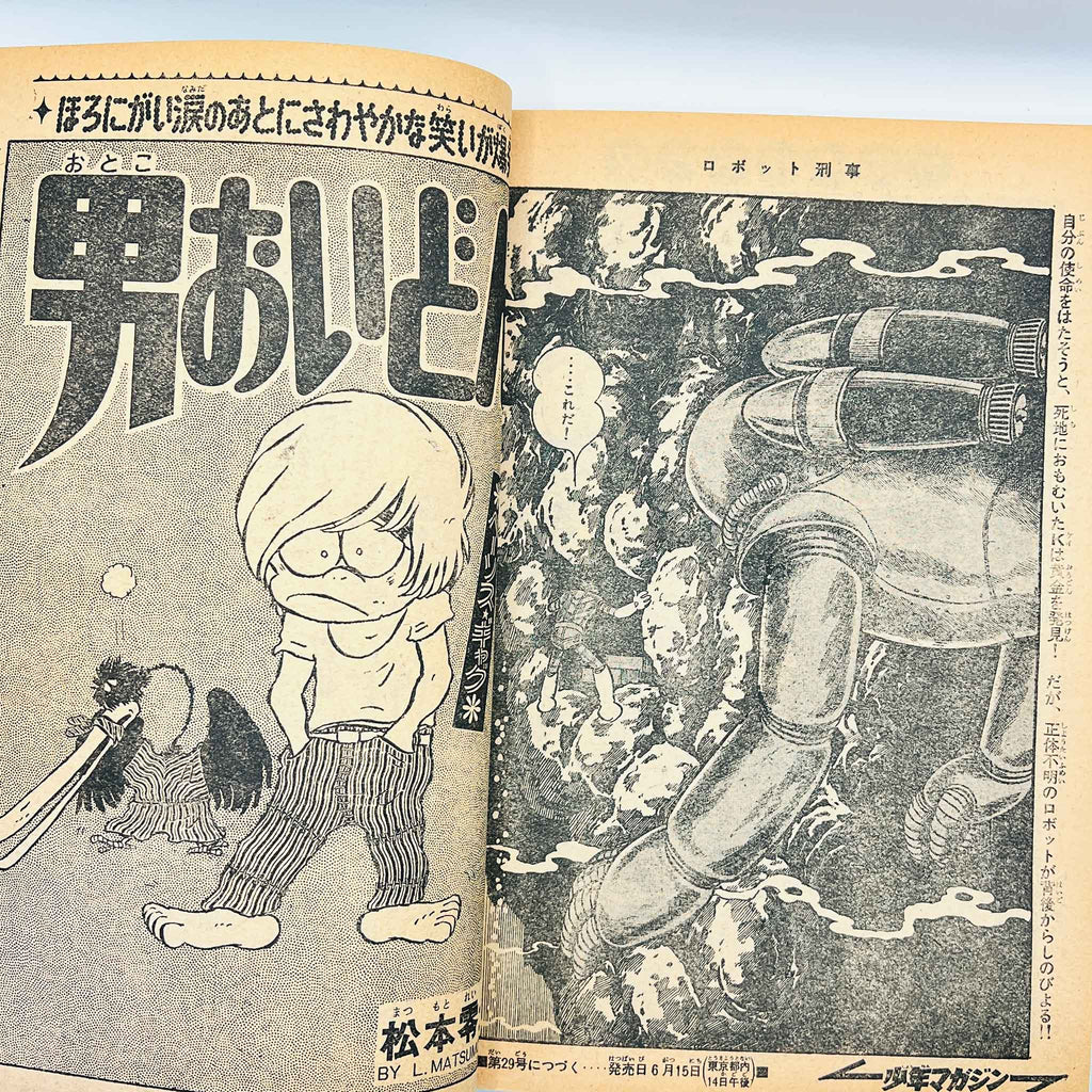Weekly Shonen Magazine - 1973 No. 28