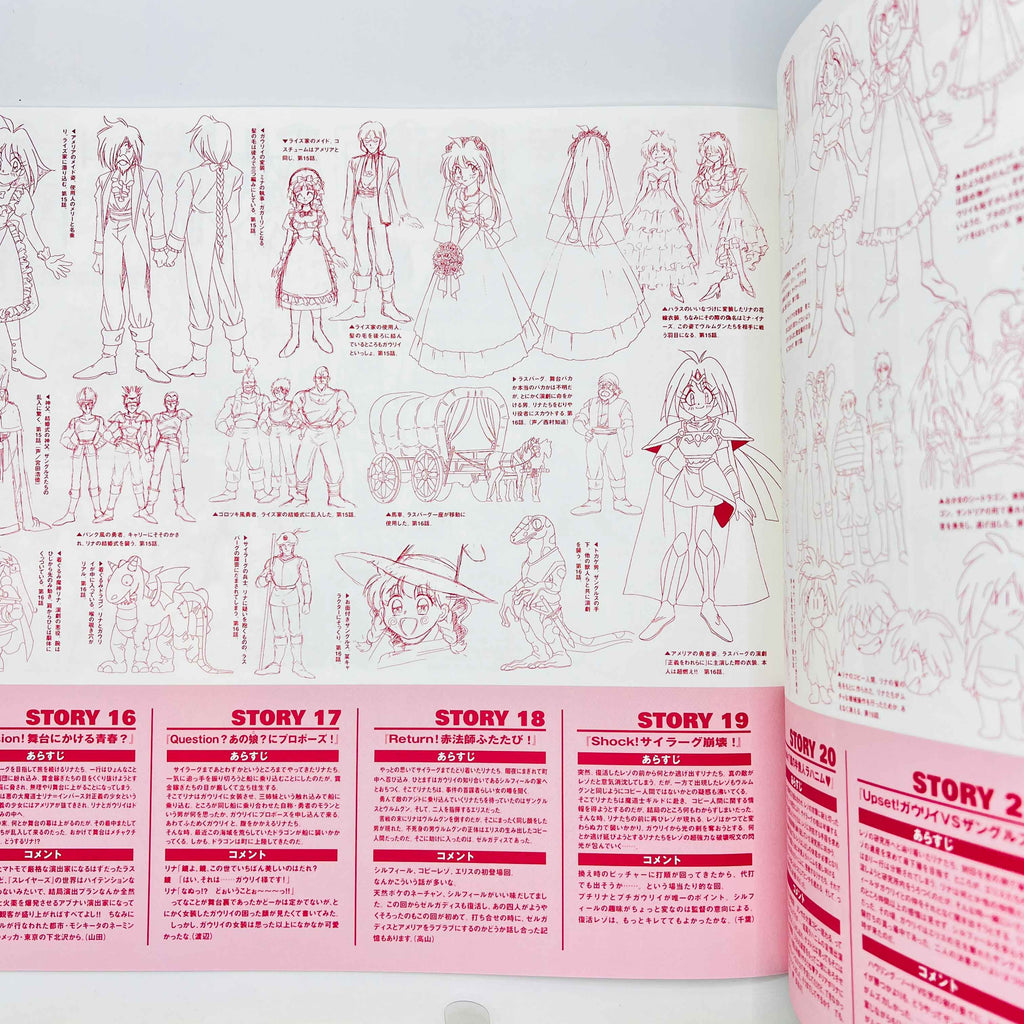 Slayers: TV 1st Season LD Box