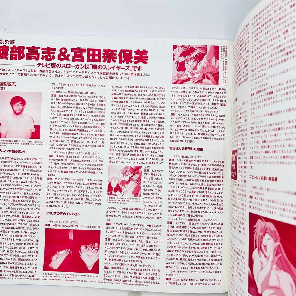 Slayers: TV 1st Season LD Box