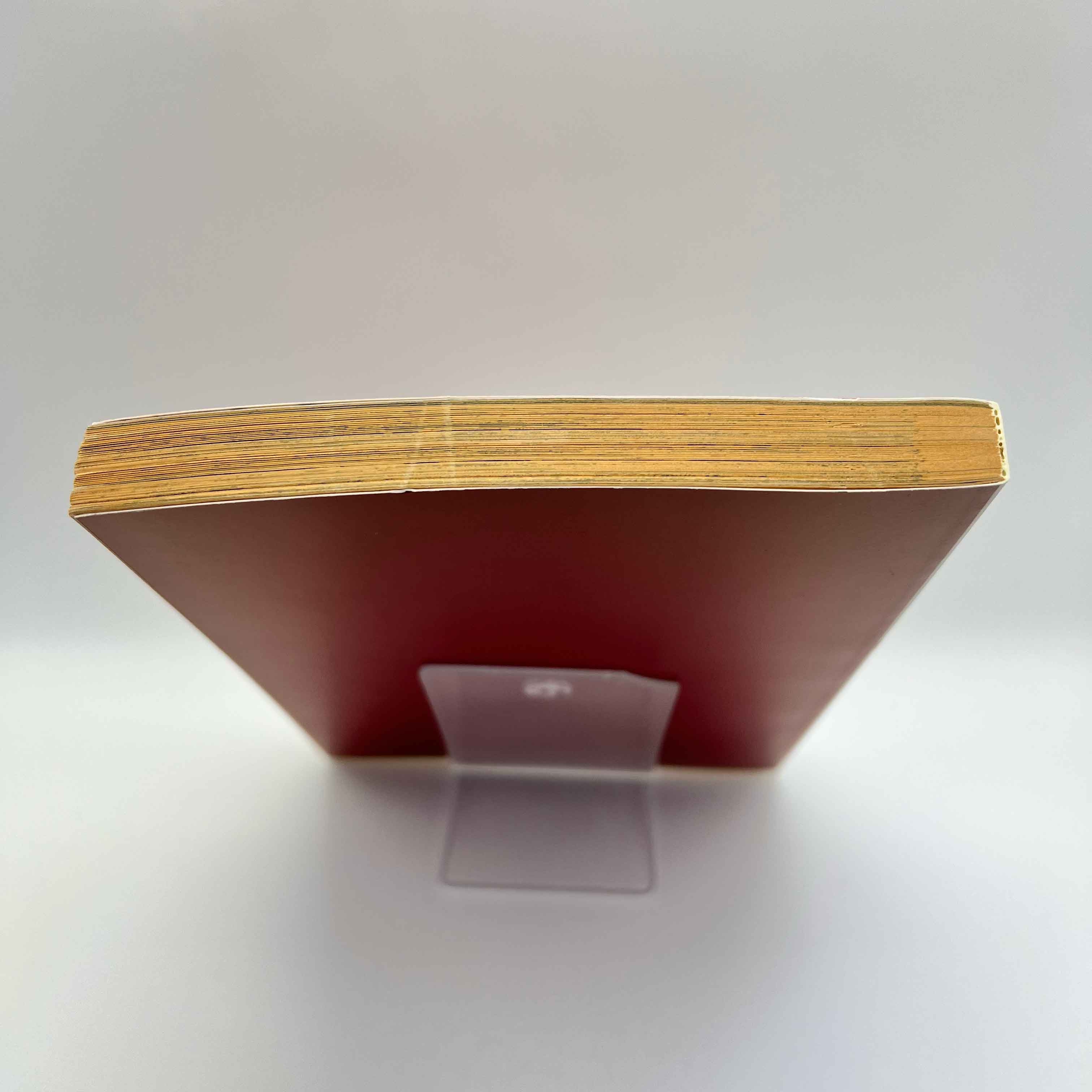 Neon Genesis Evangelion - Volume 04