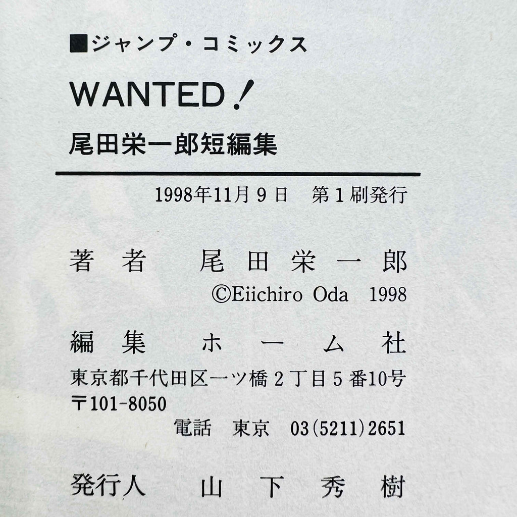 One Piece Wanted