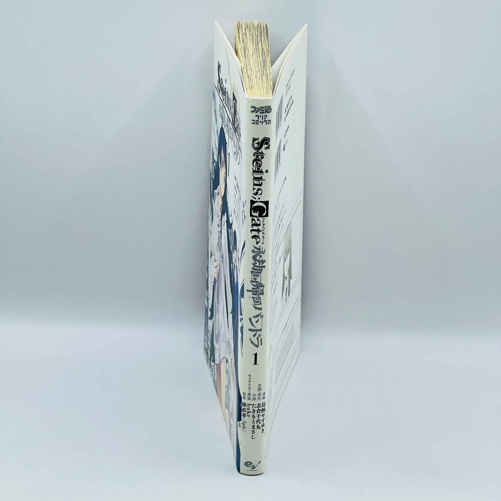 Steins Gate: Pandora of Eternal Return - Volume 01