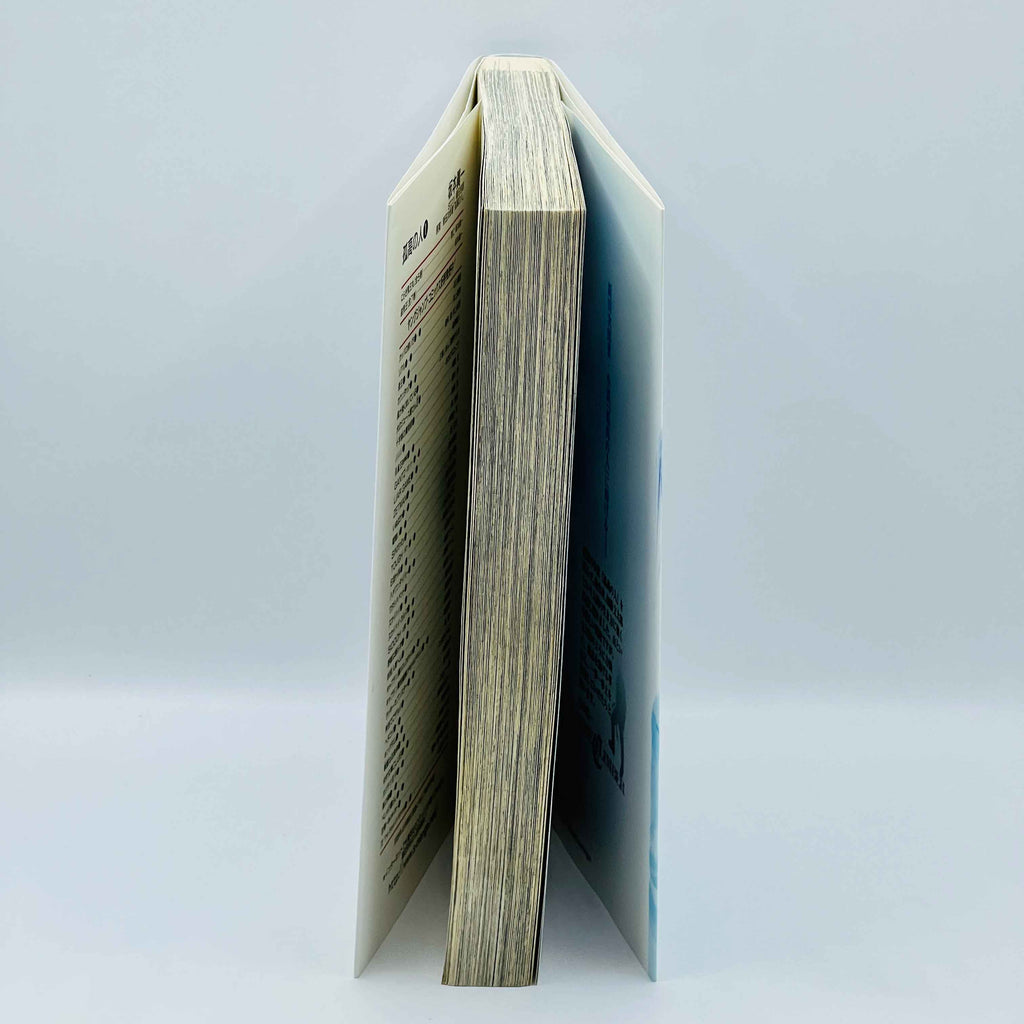 The Climber - Volume 01