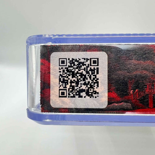 BGS 8.5 - Ranma ½ Volume 01