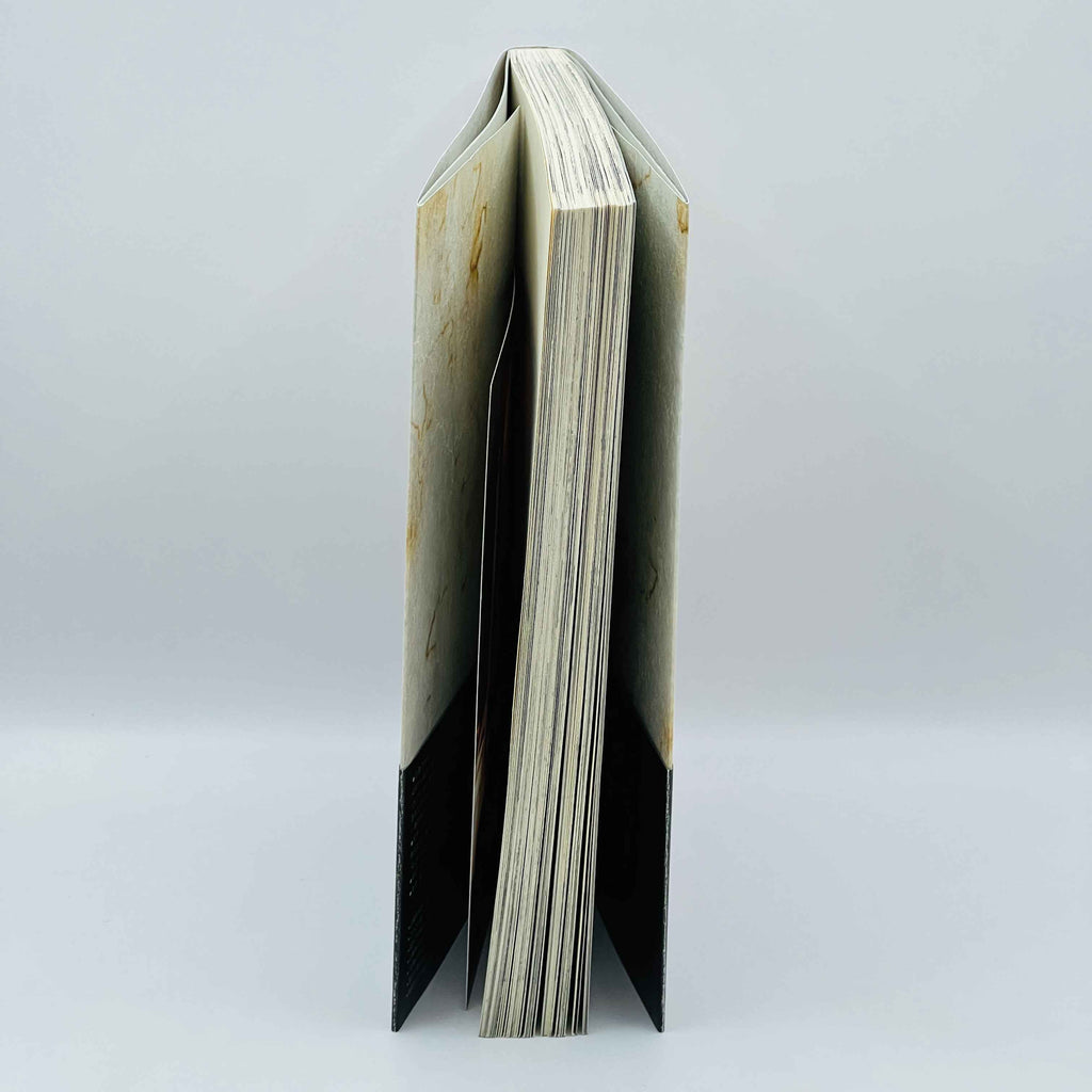 Rozen Maiden (New Edition) - Volume 01 /w Obi