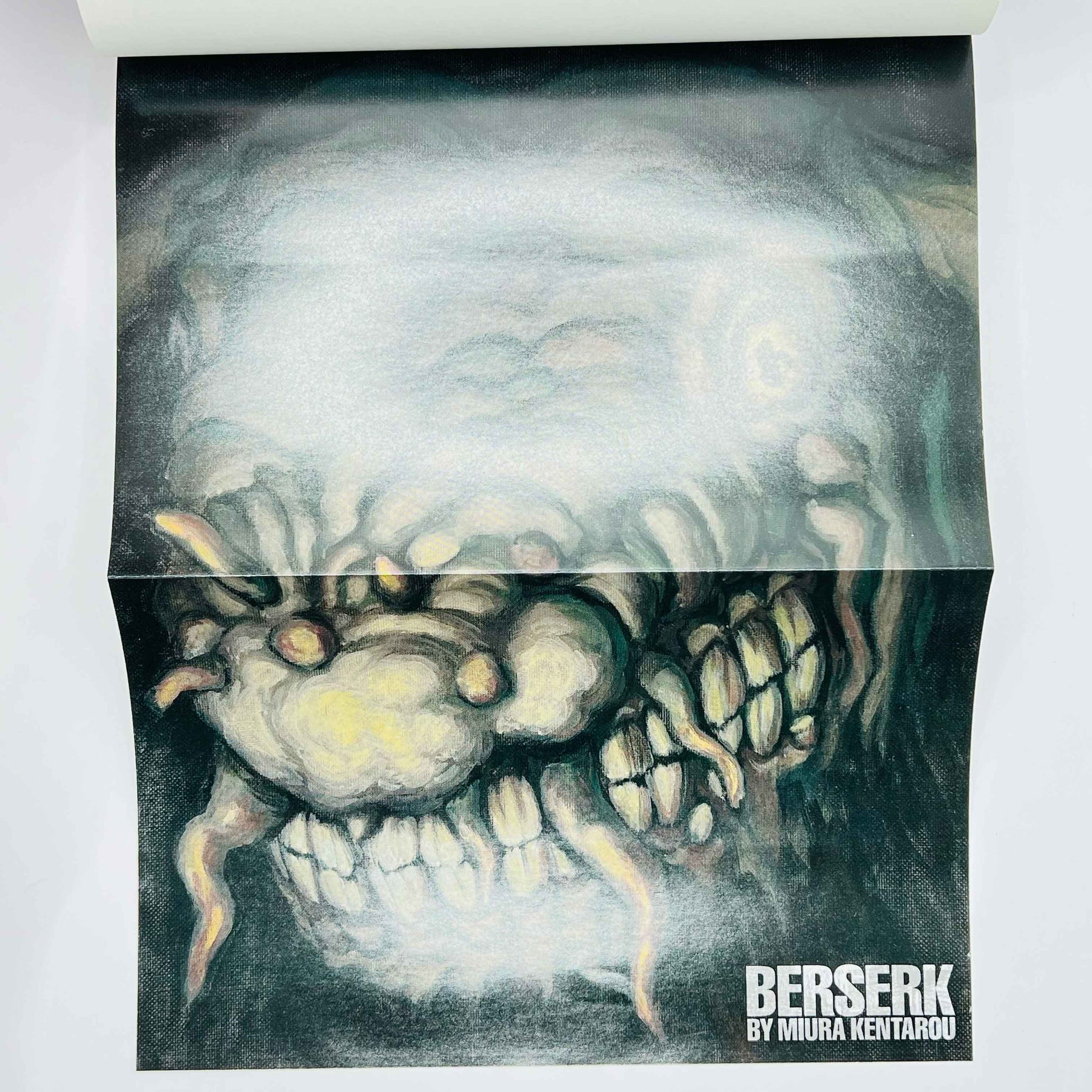 Berserk - Volume 25 /w Obi - 1stPrint.net - 1st First Print Edition Manga Store - M-BRSK-25-002