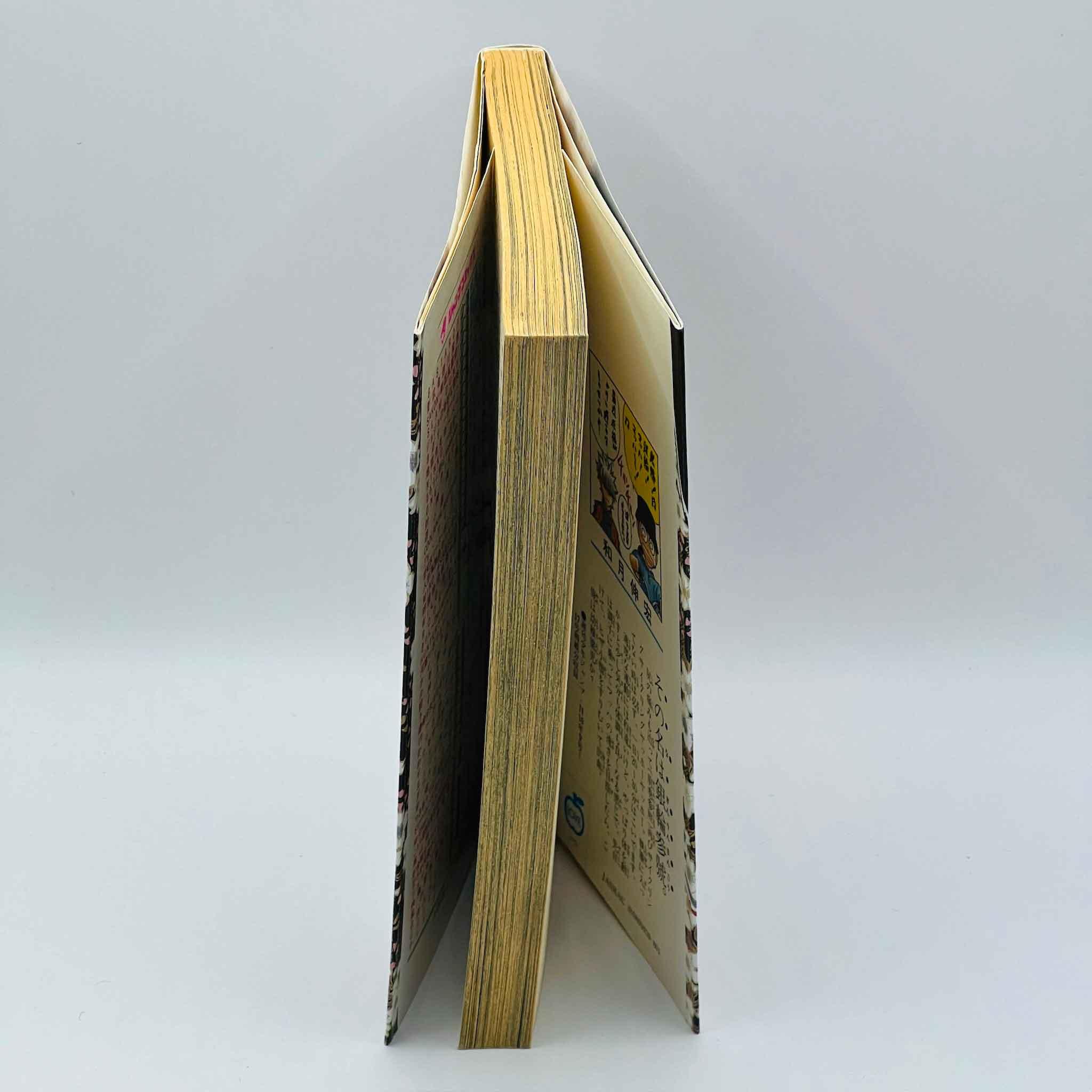 Rurouni Kenshin - Volume 21 - 1stPrint.net - 1st First Print Edition Manga Store - M-KENSH-21-001